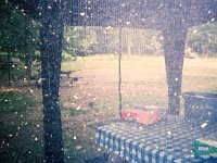 photos 2000-200900893